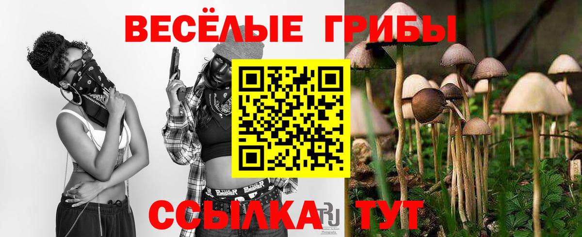 Псилоцибиновые грибы мицелий Малгобек